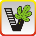 大学生自学网app