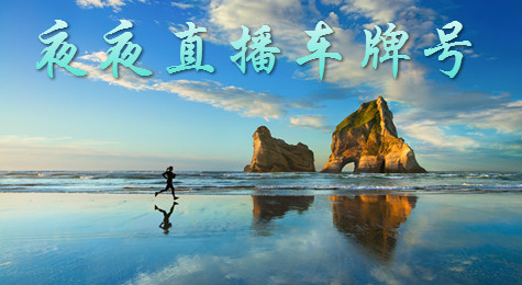 夜夜直播车牌号什么 夜夜直播车牌号怎么玩