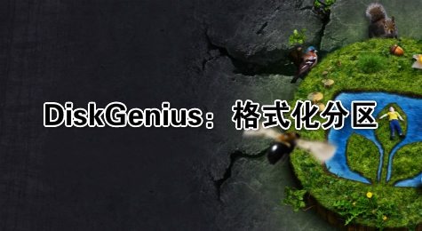 DiskGenius：格式化分区