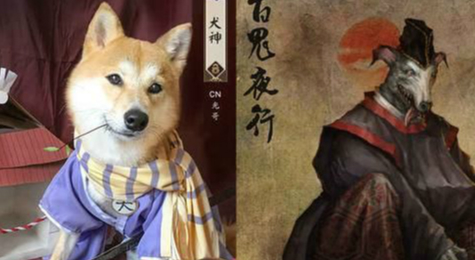 阴阳师狗粮大队长大盘点及技巧分析