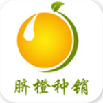 脐橙种销行业平台安卓版