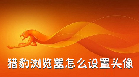 猎豹浏览器怎么设置头像