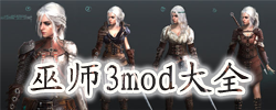 巫师3mod合集