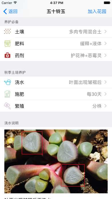 爱花草app