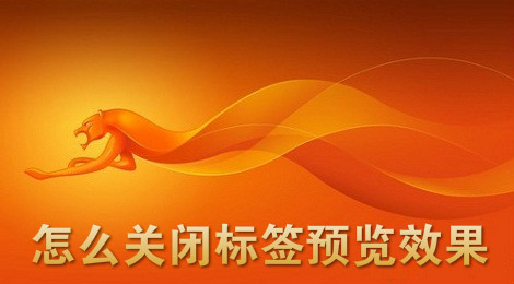 猎豹浏览器怎么关闭标签预览效果