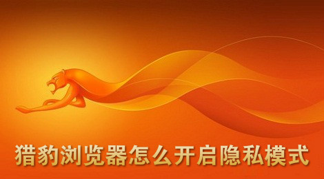 猎豹浏览器怎么开启隐私模式