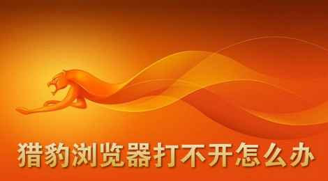 猎豹浏览器打不开怎么办