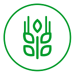 河南农产品平台