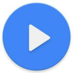 FLVPlayer4Free V5.1.0.0 多国语言绿色免费版