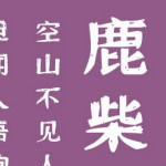叶根友美赞体