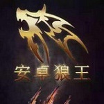 安卓狼王