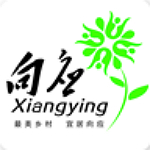 最美向应app