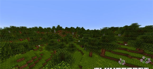 我的世界啄木鸟材质包下载 免费版图2