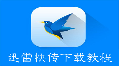 迅雷快传怎么下 迅雷快传下不了