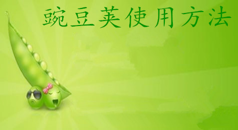 豌豆荚手机助手怎么用