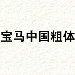 宝马中国粗体字体下载