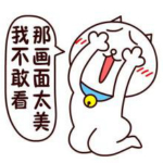 画面太美我不敢看表情