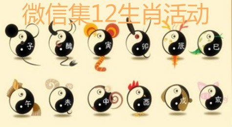 微信集12生肖活动在哪看