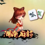 呱呱湖南麻将作弊器