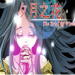 夕月之花游戏