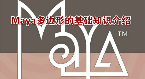 Maya多边形的基础知识介绍