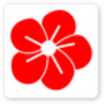 梨木社区app