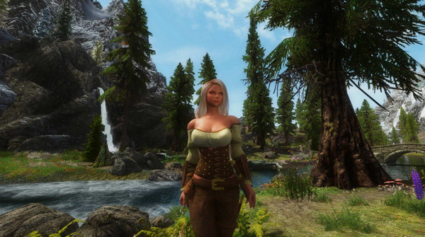 上古卷轴5战斗法师妹子阿斯塔纳随从MOD下载 免费版图2