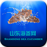 山东海参网下载