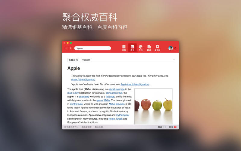 有道词典 for mac V2.3.1 正式版图4