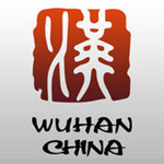 云端武汉市民下载