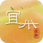 宜州保险