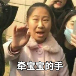 虹桥一姐表情包下载
