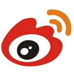 新浪君王之路多功能辅助工具