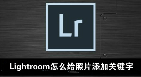 Lightroom怎么给照片添加关键字