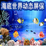 海底世界动态屏保下载