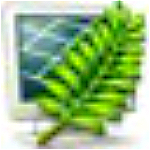 Metasequoia