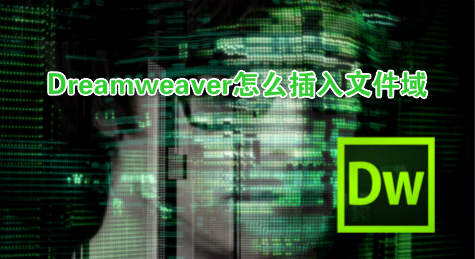 Dreamweaver怎么插入文件域