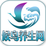 候鸟养生网