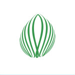 百步走 v1.3.2 安卓版