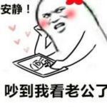 安静吵到我系列表情包