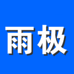 雨极VIP视频解析器