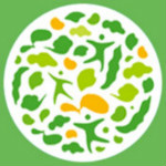 美淘村下载