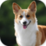 宝贝幼儿园之看图识字app
