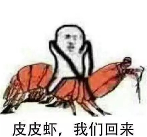 皮皮虾我们走