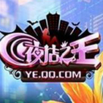 亿家QQ夜店之王管家辅助