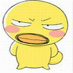 胡子小鸡表情包下载
