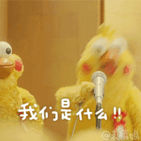 鹦鹉兄弟gif表情包