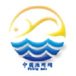 渔网网