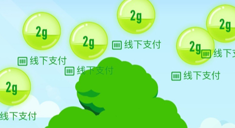 蚂蚁森林怎么不让别人收 蚂蚁森林不让别人偷技巧分享
