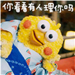鹦鹉兄弟表情包下载